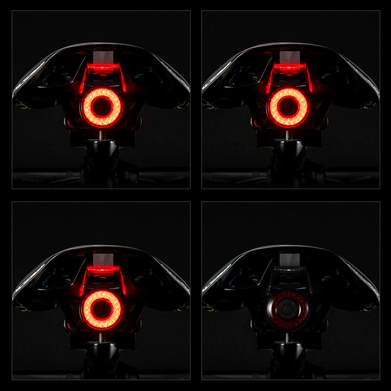 Bike Lights ROCKBROS Bicycle Smart Auto Brake Sensing IPx6 Waterproof LED Charging Cycling Taillight Rear Accessories Q5 230204