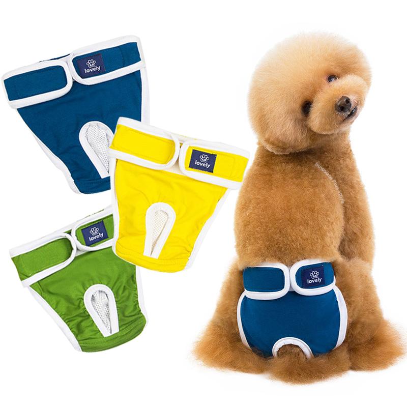 Dog Apparel Diapers Physiological Pants Washable Breathable Female Shorts Soft Girl Dogs Pets Underwear Sanitary PantiesDog, Green
Dog Apparel Diapers Physiological Pants Washable Breathable Female Shorts Soft Girl Dogs Pets Underwear Sanitary PantiesDog, Green