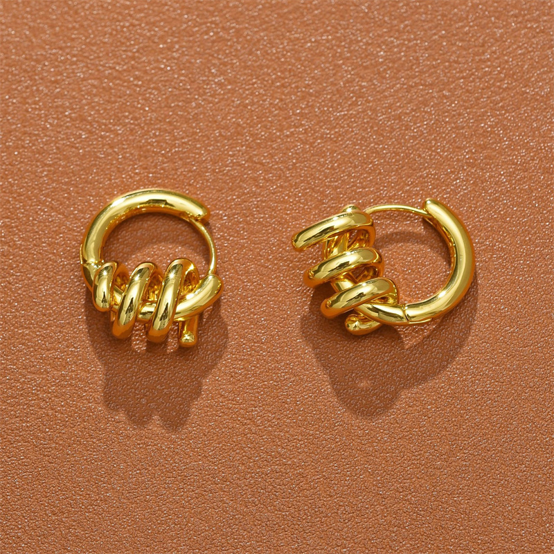French Niche Design Stud Temperament Spring Spiral Knot Earrings Advanced Indifference Ins Fashion All-Match Gift Jewelry Accessories
French Niche Design Stud Temperament Spring Spiral Knot Earrings Advanced Indifference Ins Fashion All-Match Gift Jewelry Accessories