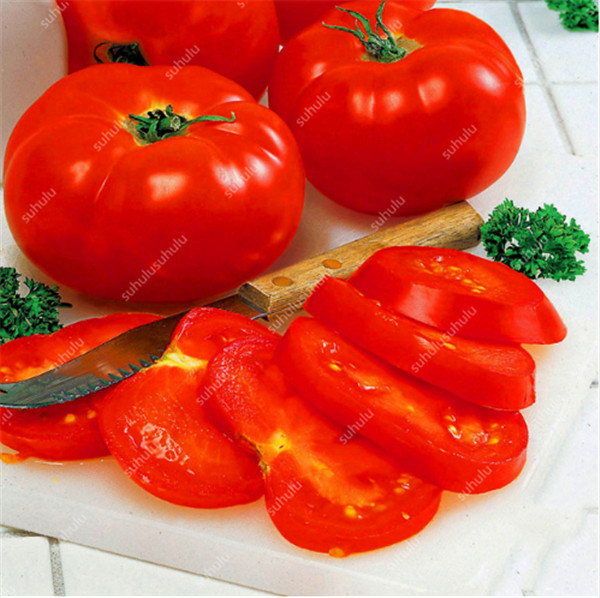 100 pcs Tomato seeds Natural Growth Variety of Colors Garden Supplies Fast Growing Planting Season Decorative Landscaping Aerobic Potted Radiation Protection
100 pcs Tomato seeds Natural Growth Variety of Colors Garden Supplies Fast Growing Planting Season Decorative Landscaping Aerobic Potted Radiation Protection