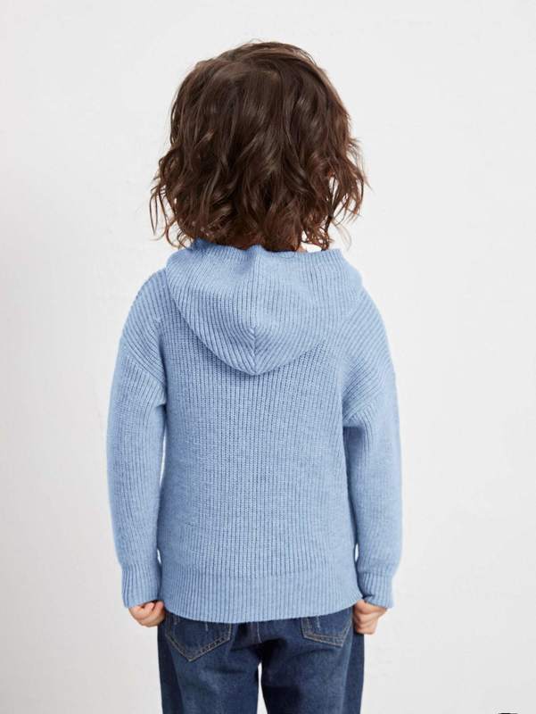 Toddler Boys Drop Shoulder Hooded Sweater SHE01