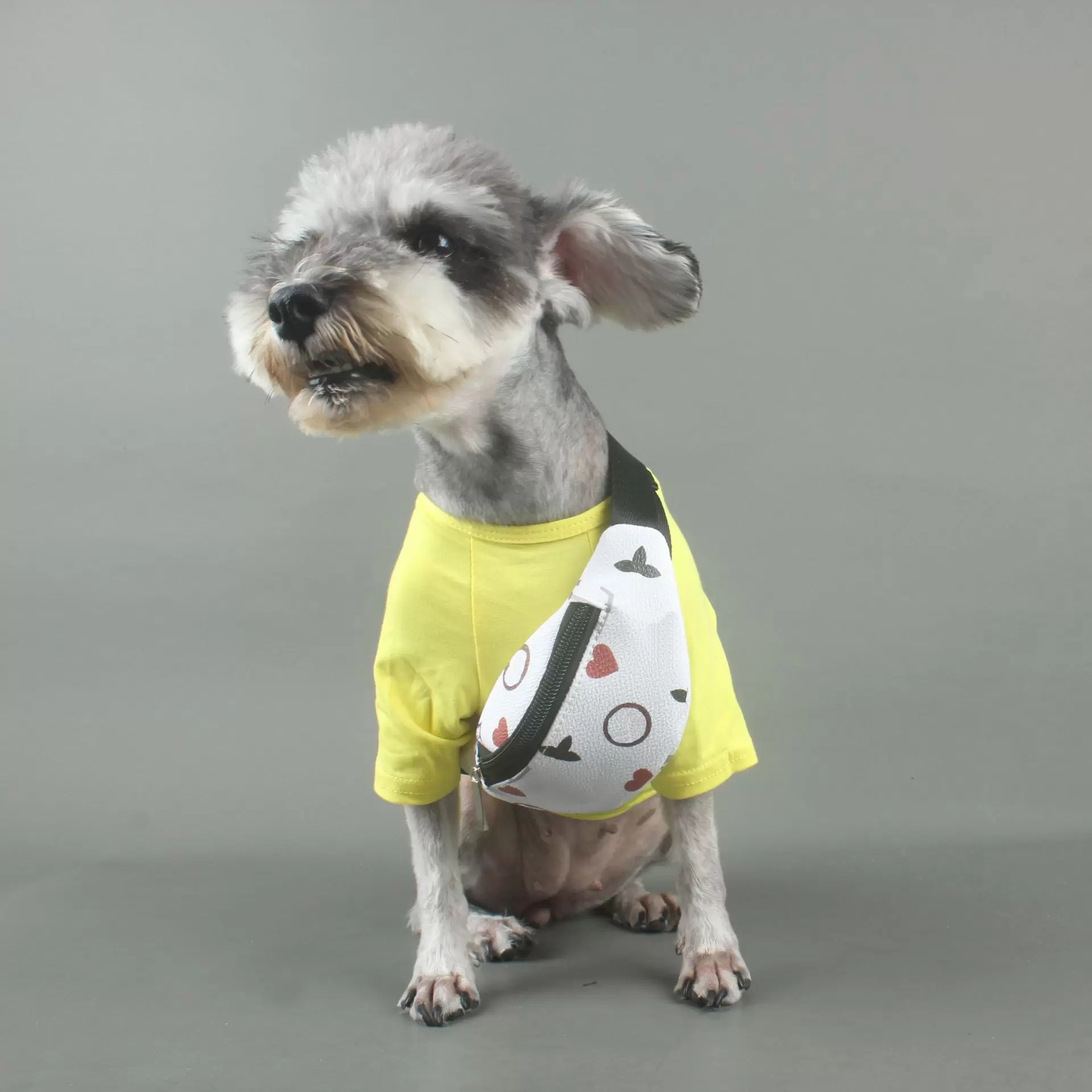 Dog Messenger Designer Pet Backpack Classic Printed Letter Leather Cat Waist Bag Cute Pets Accessories for Small Medium and Large Dogs Cats F15