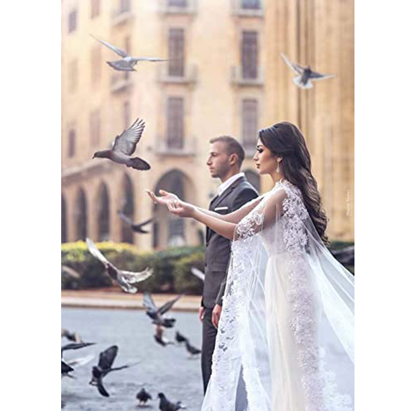 Women Veil Cape Tulle Lace Applique 3M 4M Wedding Capes Bridal Wraps Long Train Shawls Cloak