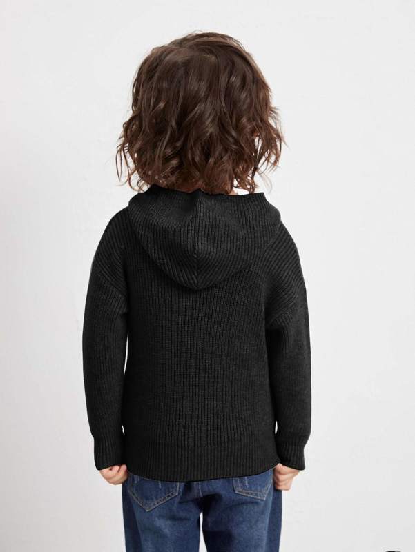 Toddler Boys Drop Shoulder Hooded Sweater SHE01