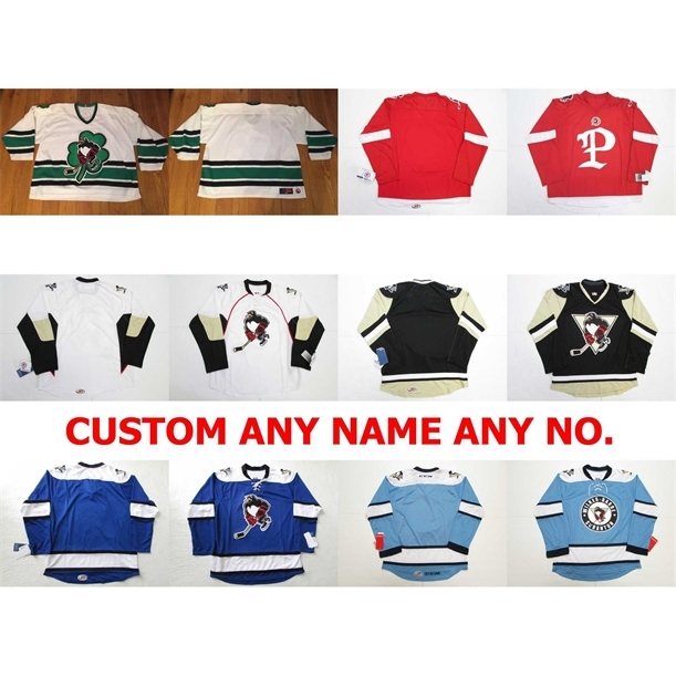 Thr Cheap 2017 AHL Wilkes Barre Scranton Penguins Mens Womens Kids 100% Embroidery Custom Any Name Any NO. Ice Hockey Jerseys Goalit Cut Hot