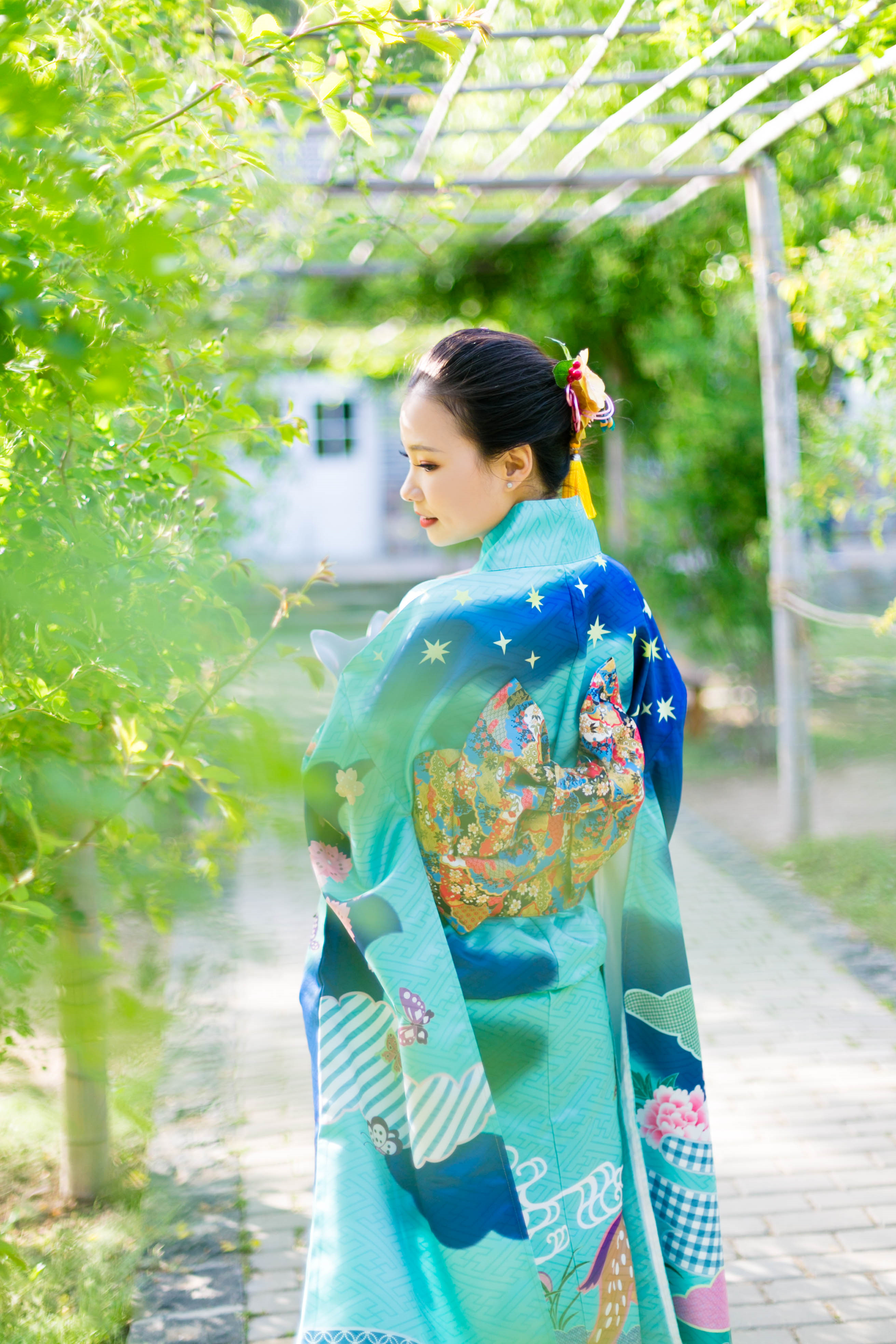 Japanese Ethnic Clothing female elk large vibration sleeve kimono formal dress Tokyo Lady gorgeous Standard kimono Green Blue