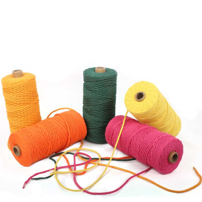 Yarn Handmade Boho Decor 3mm Colored Colorful Cotton Cord Rope Thread Twisted Macrame String DIY Home Wedding Decoration Supply
Yarn Handmade Boho Decor 3mm Colored Colorful Cotton Cord Rope Thread Twisted Macrame String DIY Home Wedding Decoration Supply