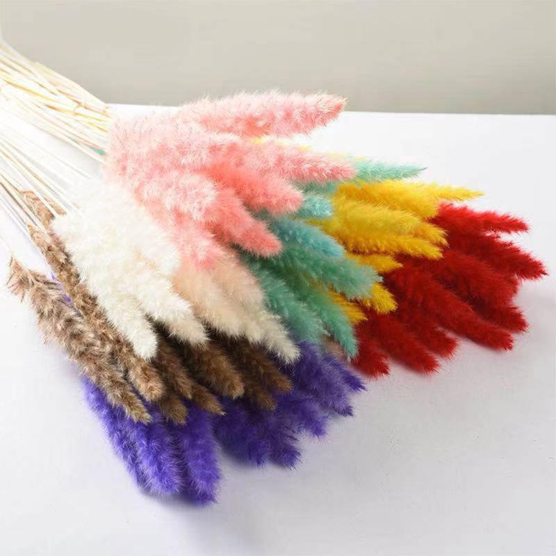 Decorative Flowers & Wreaths Dried Small Reeds Home Decoration Artificial Plant Branches Dandelion Fake Wedding Arrangement Vase Multicolor
Decorative Flowers & Wreaths Dried Small Reeds Home Decoration Artificial Plant Branches Dandelion Fake Wedding Arrangement Vase Multicolor