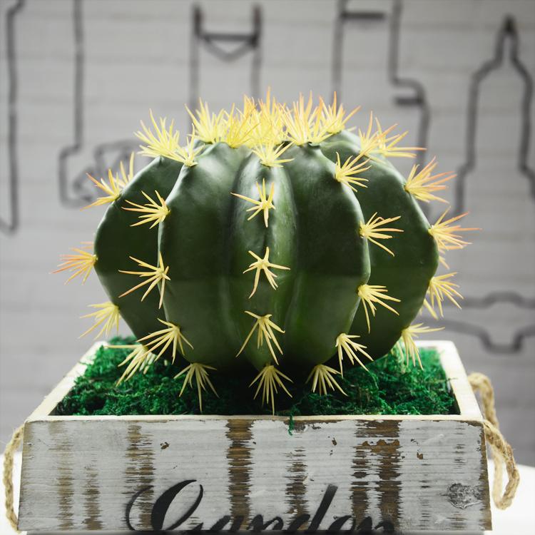 Decorative Flowers & Wreaths Artificial Succulents Cactus Simulation Plants Fake DIY Home Decoration Landscape Prickly Pear Green Plant, Dia 12cm
Decorative Flowers & Wreaths Artificial Succulents Cactus Simulation Plants Fake DIY Home Decoration Landscape Prickly Pear Green Plant, Dia 12cm
