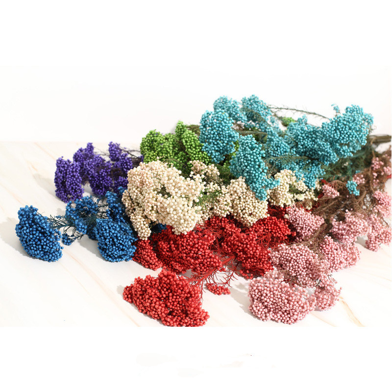 50G/lot Natural Eternal Dry Rice Real Millet Flowers Bouquet DIY Candle Resin Accessories For Living Room Decoration Dekoration, Green
50G/lot Natural Eternal Dry Rice Real Millet Flowers Bouquet DIY Candle Resin Accessories For Living Room Decoration Dekoration, Green