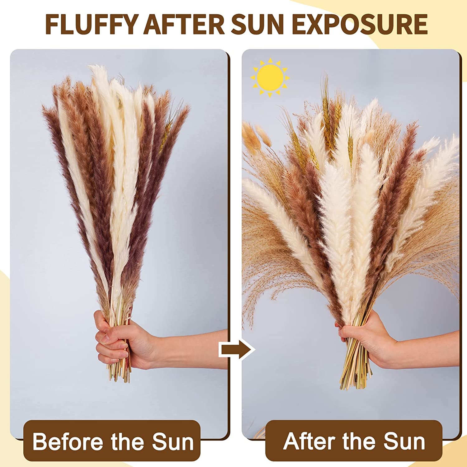 80 Pcs Dried Pampas Decor Natural Brown White Pompous Grass Dried Bunny Tails Wheat Reed Boho Home Wedding Flower Arrangement5685781