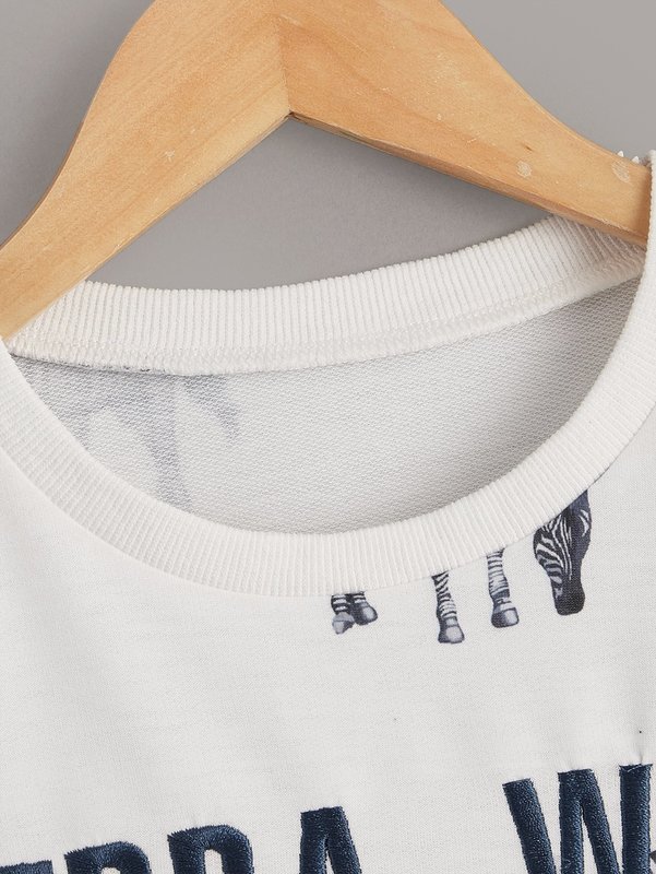 Toddler Boys Zebra Print Letter Embroidery Drop Shoulder Sweatshirt SHE