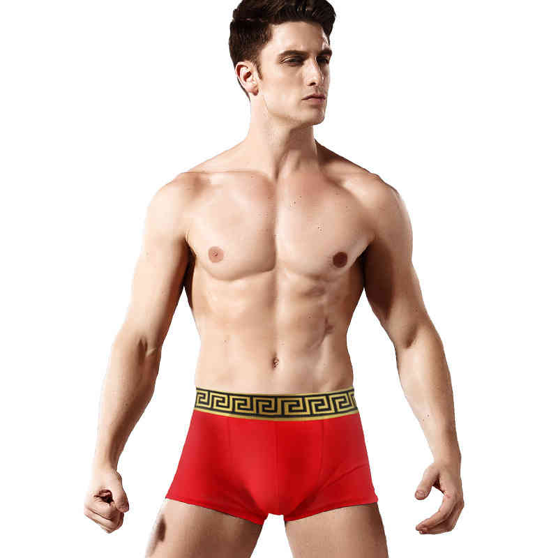 Brand Designer Men039s Sexy Underwear Quality Cotton 4pcslot Men Breathable Underwear Branded Boxers Underwear Asian Size L TO5211518
