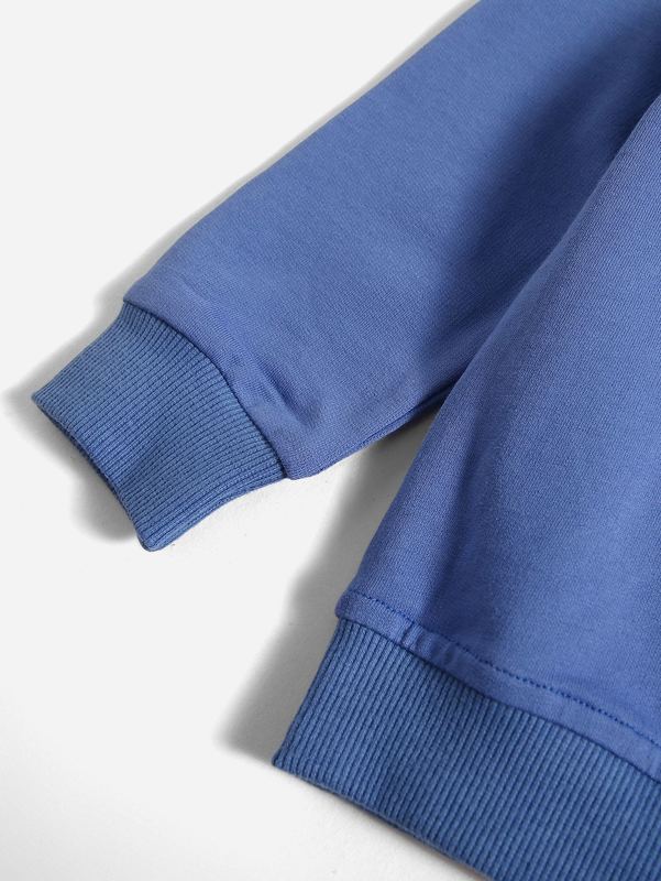 Toddler Boys Gingham Flag Print Hooded Sweatshirt SHE