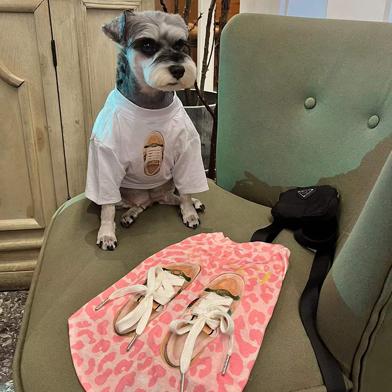 free shipping Designer Clothes Fashion Dog Apparel Sublimation Printing ic Letters Interesting Shoes Pet T-shirt for Small Dogs Schnauze Yorkie Poodle