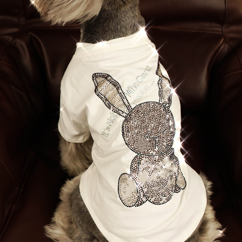 Summer Pet Clothes Fashion Design Puppy Teddy Chihuahua Tee Tops Drop Spring Soft Dog T-shirt CX220317, Black
Summer Pet Clothes Fashion Design Puppy Teddy Chihuahua Tee Tops Drop Spring Soft Dog T-shirt CX220317, Black
