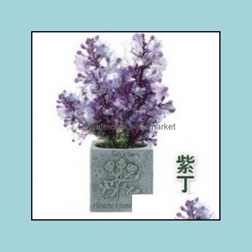 Garden Decorations Patio Lawn Home 100Pcs Lilac Flower Seeds Bonsai Rare Plant For Courtyard Planting Purify The Air Absorb Harmf Gases D
Garden Decorations Patio Lawn Home 100Pcs Lilac Flower Seeds Bonsai Rare Plant For Courtyard Planting Purify The Air Absorb Harmf Gases D