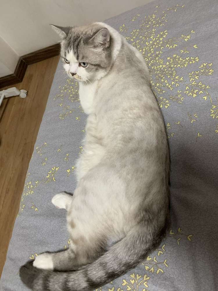 Test yuosku danbeihuo444444