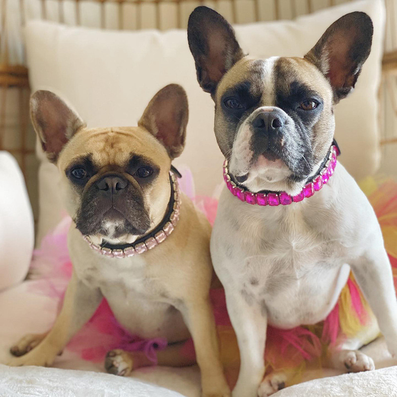 Dog Collars of Crystal for Medium Small Dogs Bling-Bling Cute Dog Collar Adjustable Pets Necklace Sparkling Jeweled Pet Chain Applicable to Wedding Bi