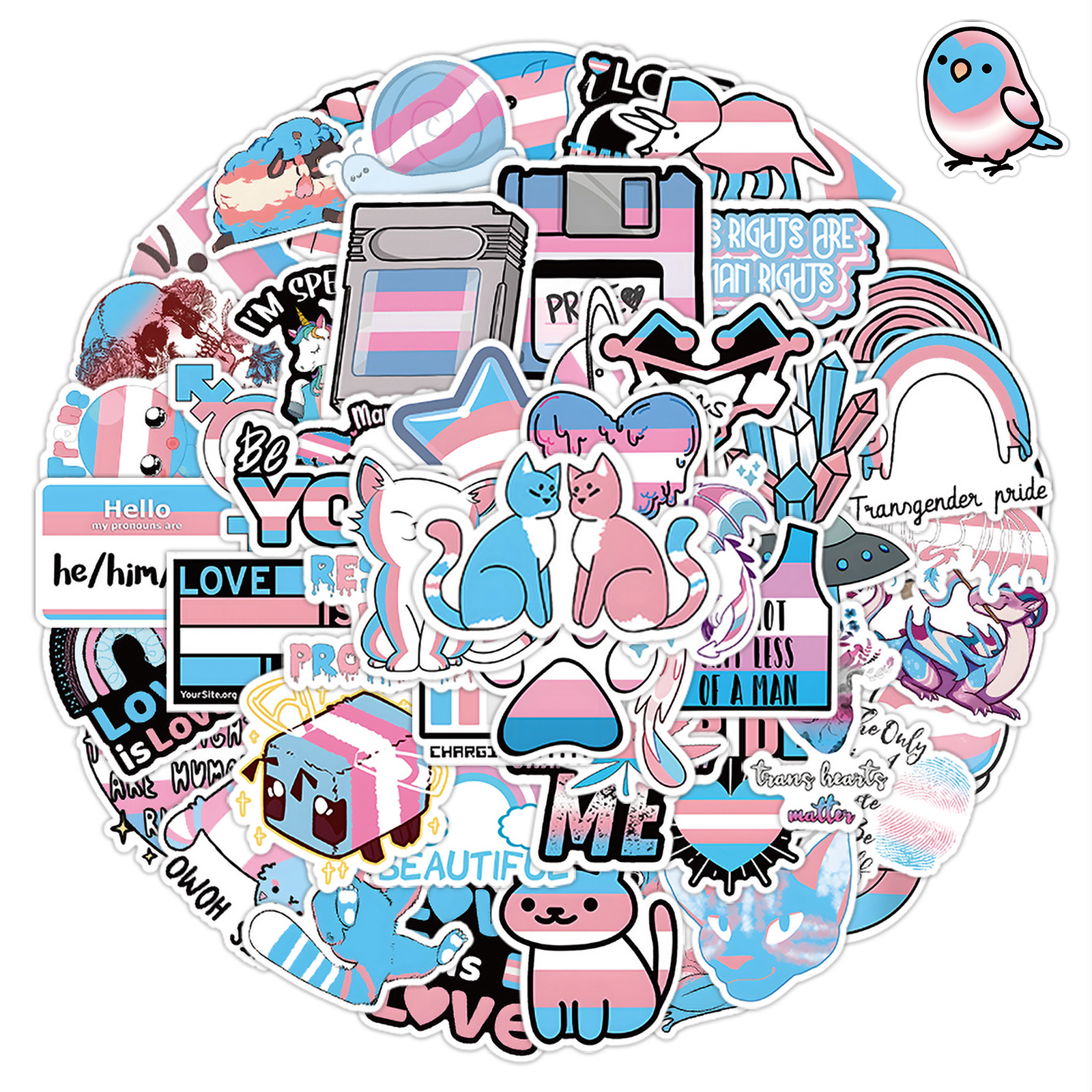 60Pcs Transgender Pride Stickers Graffiti Kids Toy Skateboard car Motorcycle Bicycle Sticker Decals Wholesale