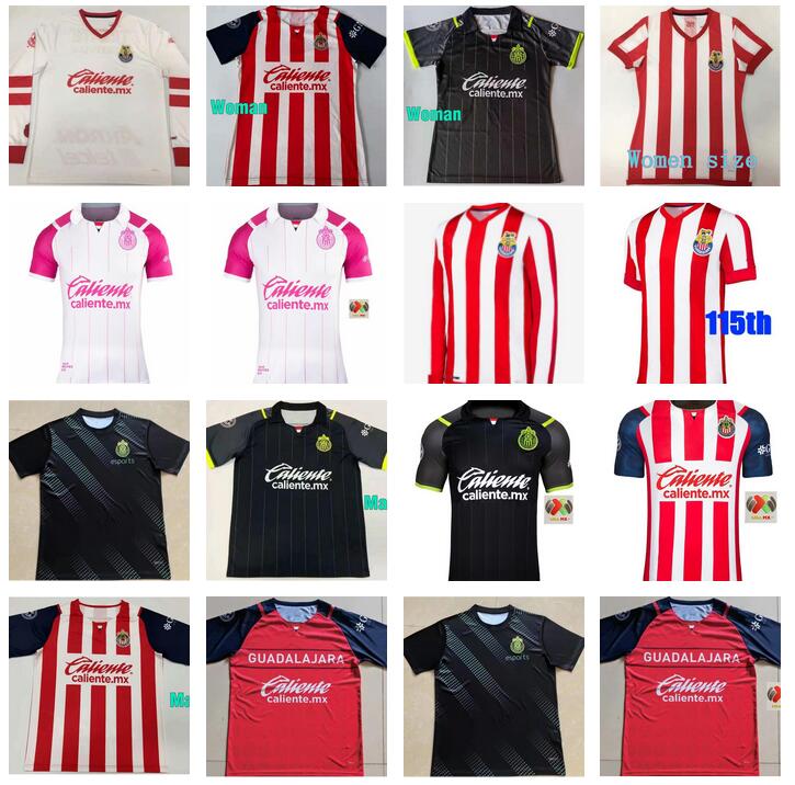 2021 2022 2023 Chiv… - image