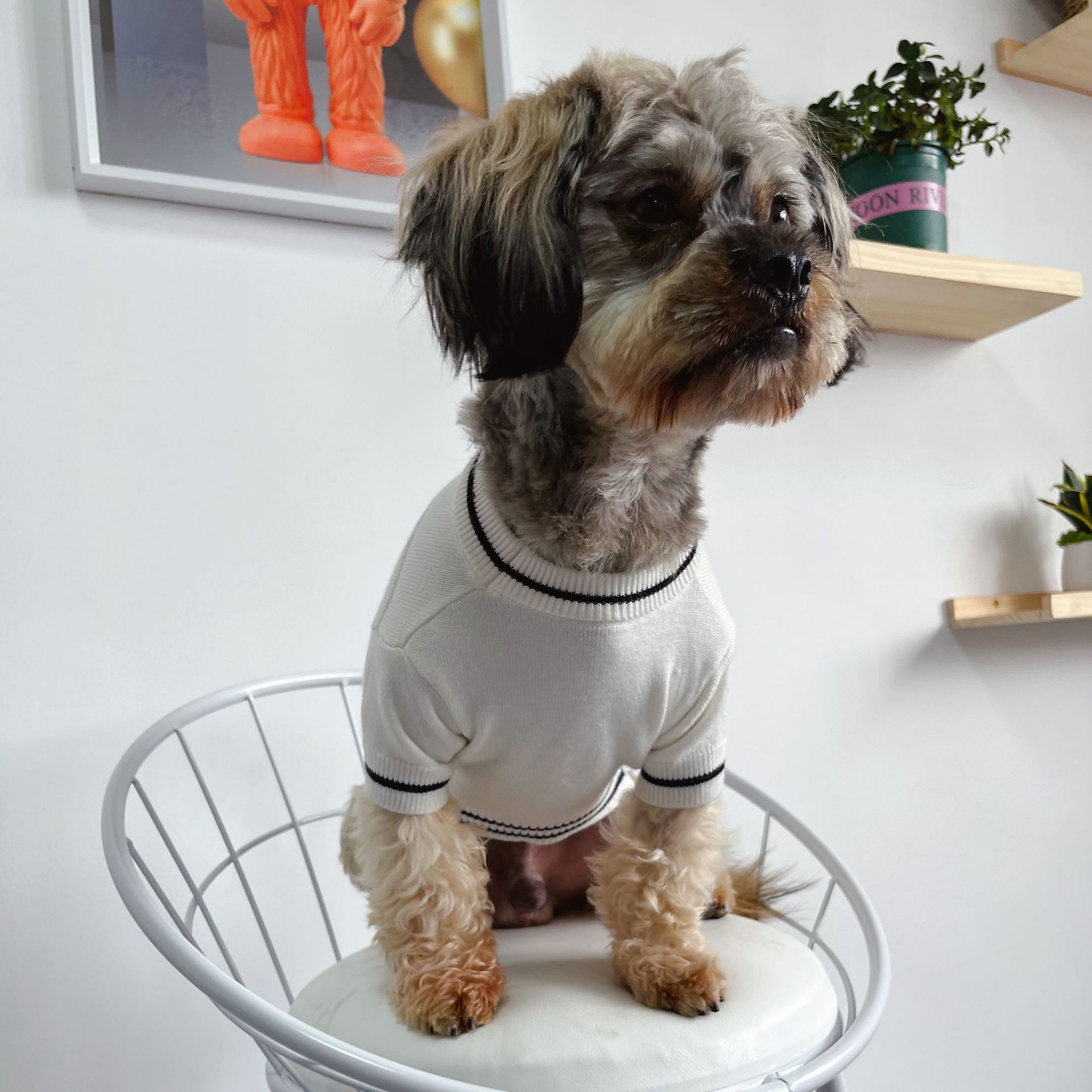 free shipping Warm Pet Sweater Designer Clothes Dog Apparel ic Letter Monogram Cat Sweaters Puppy Sweatshirt Coat for Small Dogs Kitten Cats White S A