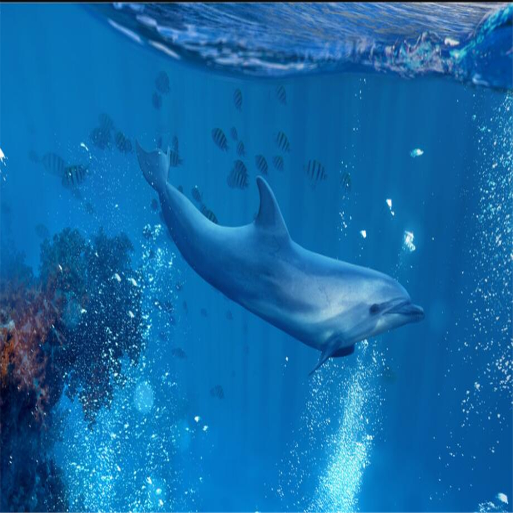 Large Custom Wallpapers Underwater World Dolphins Ceilings Background Wall Decorations