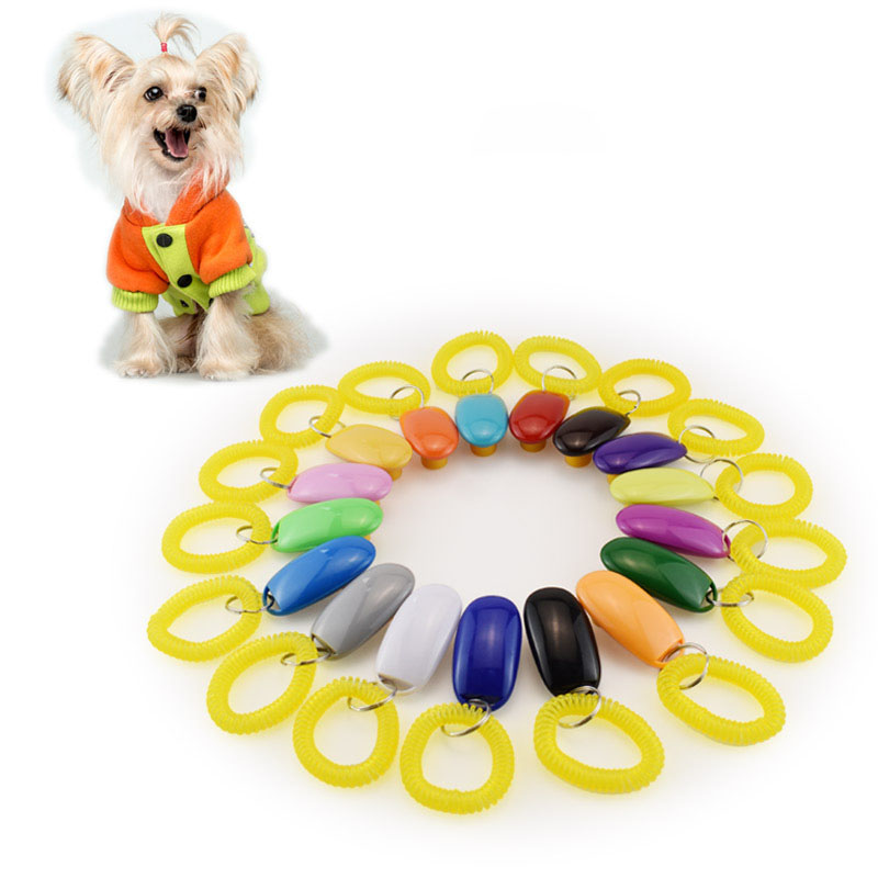 Pet Cat Dog Training Clicker Plastic New Dogs Click Trainer transparent Clickers With Bracelet Dog Supplies Wholesale
Pet Cat Dog Training Clicker Plastic New Dogs Click Trainer transparent Clickers With Bracelet Dog Supplies Wholesale