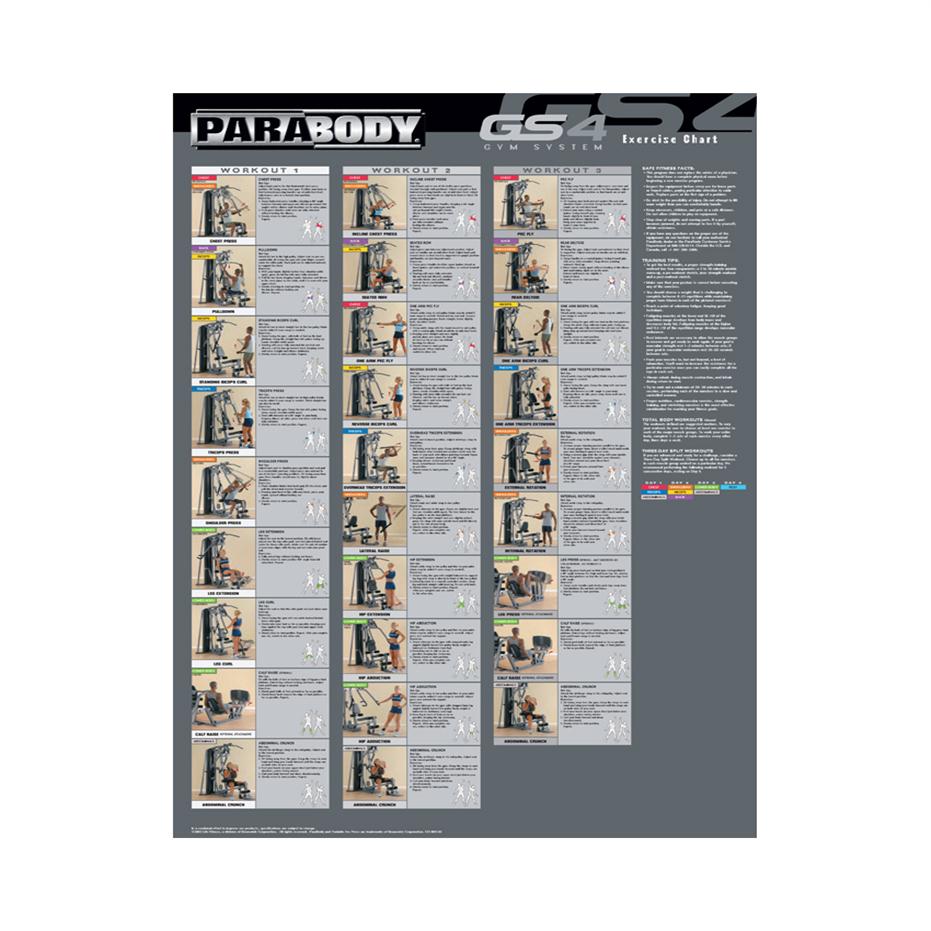 Body GS4 SYSTEM exercise chart Poster Painting Print Home Decor Framed Or Unframed Popaper Material3088
Body GS4 SYSTEM exercise chart Poster Painting Print Home Decor Framed Or Unframed Popaper Material3088