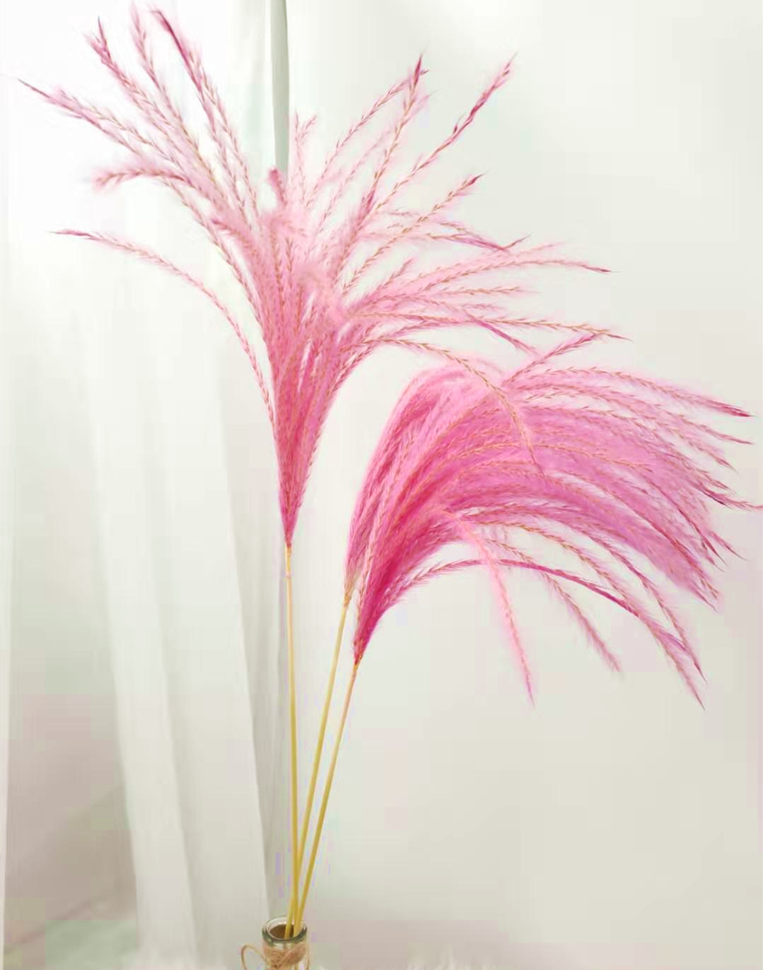 Dried Flower 50Pcs/lot Wholesale Phrag Mites Natural Decorative Pampas Grass For Home Wedding Decoration Flowers Bunch 56-60cm