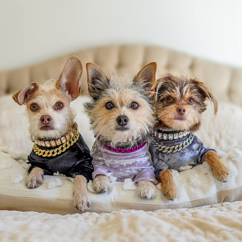 Dog Collars of Crystal for Medium Small Dogs Bling-Bling Cute Dog Collar Adjustable Pets Necklace Sparkling Jeweled Pet Chain Applicable to Wedding Bi