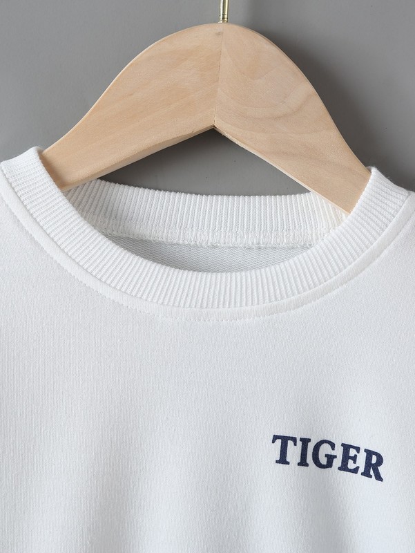 Toddler Boys Letter & Tiger Print Pullover SHE