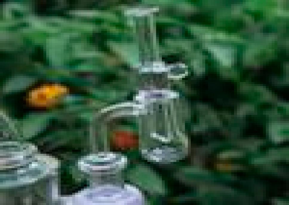 4mm Quartz Banger Glass Carb Cap Flat Top Round Bottom OD 20mm Male Female 10mm 14mm 18mm Joint Dab Oil Rigs
4mm Quartz Banger Glass Carb Cap Flat Top Round Bottom OD 20mm Male Female 10mm 14mm 18mm Joint Dab Oil Rigs