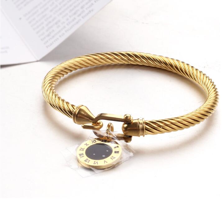 Titanium Steel Cable Wire Gold Color Love Heart Charm Bangle Bracelet With Hook Closure For Women Men Wedding Jewelry Gifts GC860