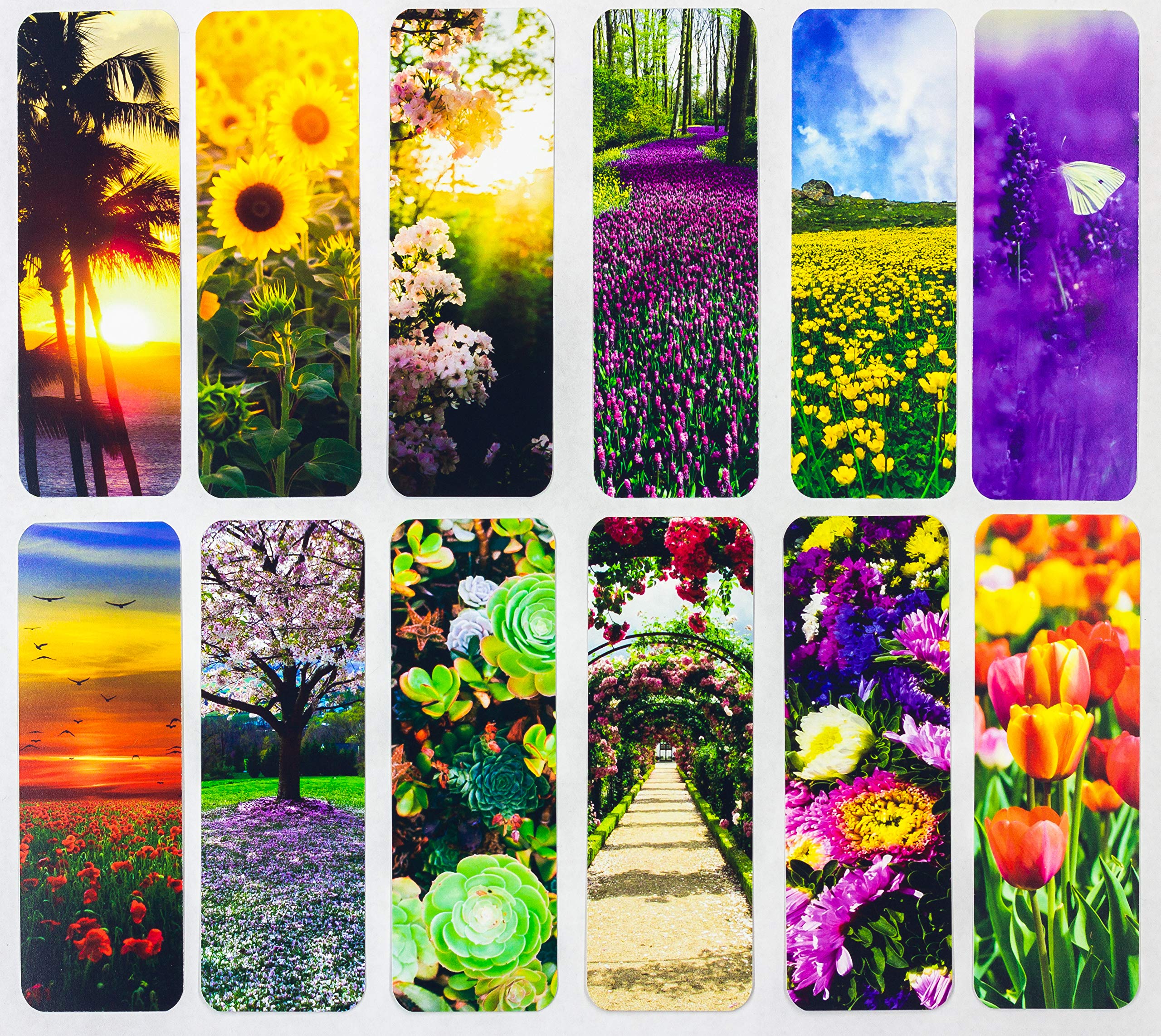 Bookmark Livin Harmony Flower Bookmarks For Book Lovers Mark Gift Readers Mothers Day Souvenir Cute Women Men Kids Classroom Rewards amxuo
Bookmark Livin Harmony Flower Bookmarks For Book Lovers Mark Gift Readers Mothers Day Souvenir Cute Women Men Kids Classroom Rewards amxuo