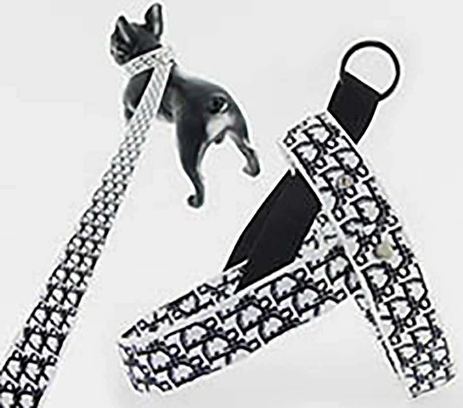 Adjustable Dog Leashes Harness Collars Breathable Pet Vest Nylon Brand Designer Letter Outdoor Running Training Necklace Rope Tie Collar
Adjustable Dog Leashes Harness Collars Breathable Pet Vest Nylon Brand Designer Letter Outdoor Running Training Necklace Rope Tie Collar