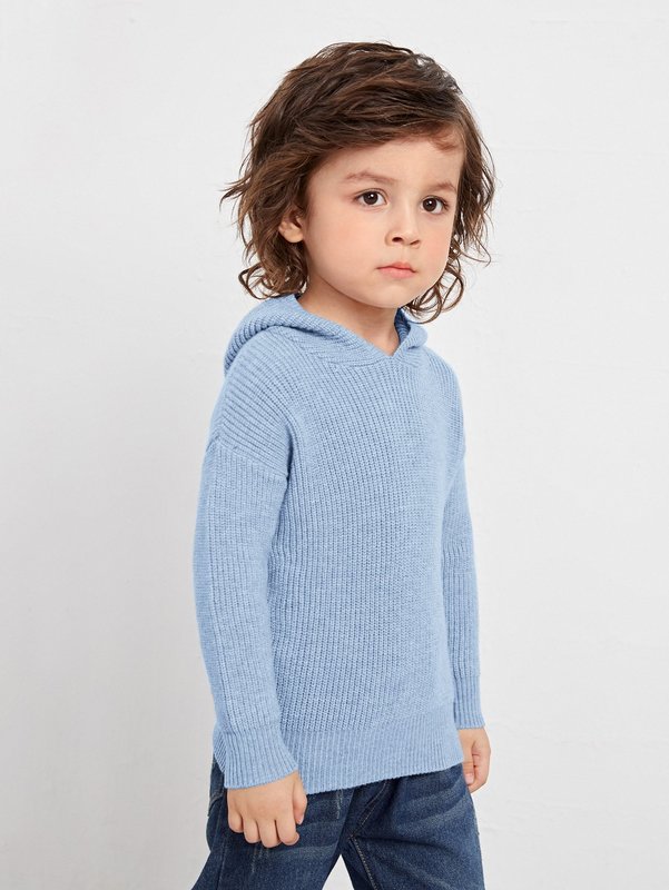 Toddler Boys Drop Shoulder Hooded Sweater SHE01
