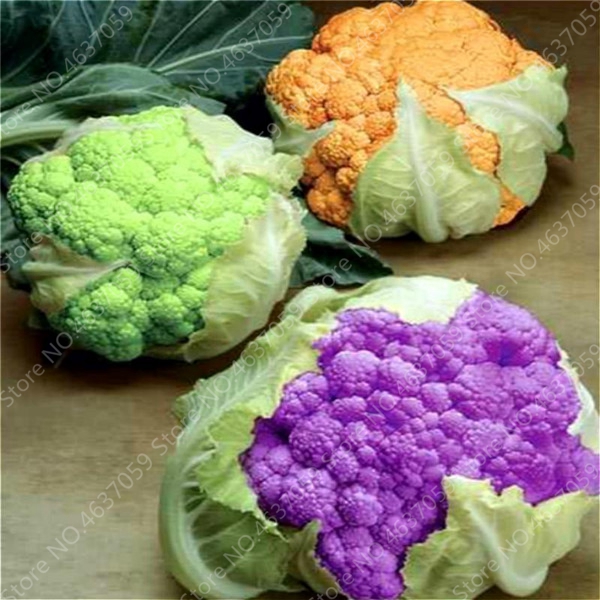 100 pcs seeds Broccoli Potted Organic Bonsai Vegetable For Home Garden Non-Gmo Cauliflower Plant for Flower Pot Planters Easy To Grow Natural Growth Variety of Colors
100 pcs seeds Broccoli Potted Organic Bonsai Vegetable For Home Garden Non-Gmo Cauliflower Plant for Flower Pot Planters Easy To Grow Natural Growth Variety of Colors