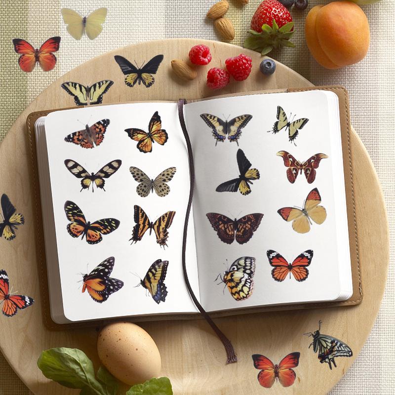 Gift Wrap 40pcs Retro Butterfly Stickers DIY Crafts Scrapbooking Diary Journal Decoration Sticker Cartoon PET Stationery
Gift Wrap 40pcs Retro Butterfly Stickers DIY Crafts Scrapbooking Diary Journal Decoration Sticker Cartoon PET Stationery