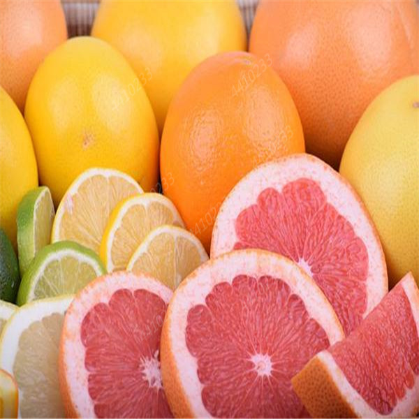 10 pcs Pomelo seeds Beautifying And Air Purification Natural Growth Decorative Landscaping Variety of Colors Garden Supplies Fast Growing Planting Season
10 pcs Pomelo seeds Beautifying And Air Purification Natural Growth Decorative Landscaping Variety of Colors Garden Supplies Fast Growing Planting Season