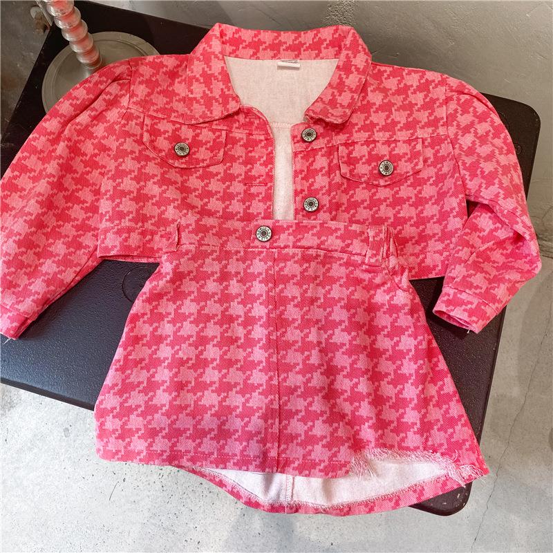 Girls Rose Red Sets Puff Sleeve Denim Top Distressed Two-piece Skirt Toddler Girl Fall Clothes Halloween 
Girls Rose Red Sets Puff Sleeve Denim Top Distressed Two-piece Skirt Toddler Girl Fall Clothes Halloween