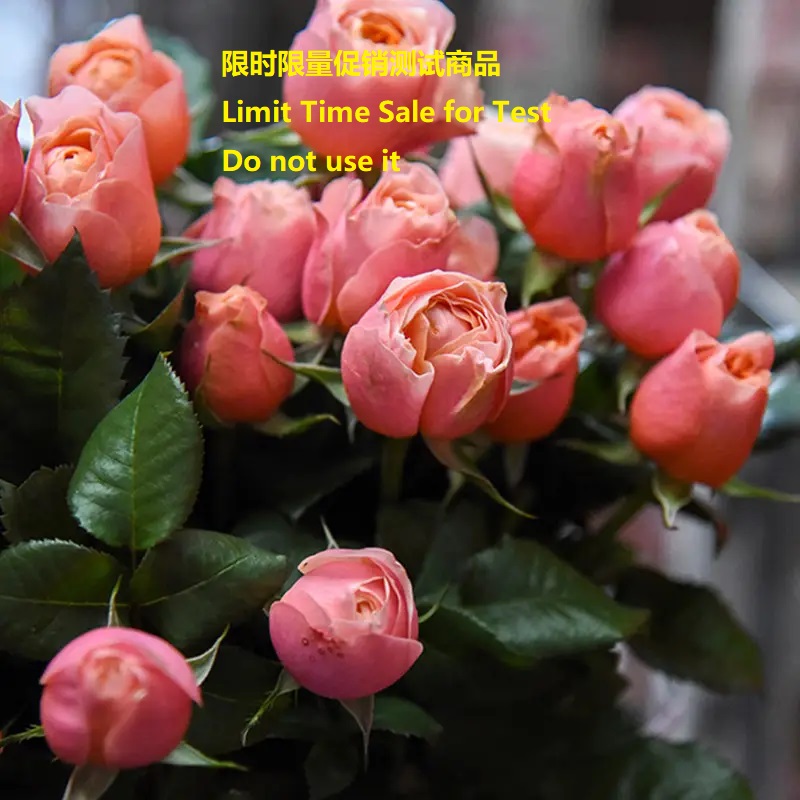 Exclusive Tester Edition Men's XS to XL Shirt Online