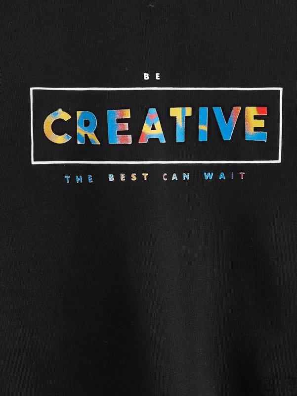 Toddler Boys Slogan Graphic Sweatshirt SHE01