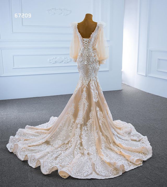 Champagne Mermaid Long Sleeve Wedding Dresses 2022 Real Work Feather Applique Lace-up Corset Sweep Train Bridal Gown Vestido