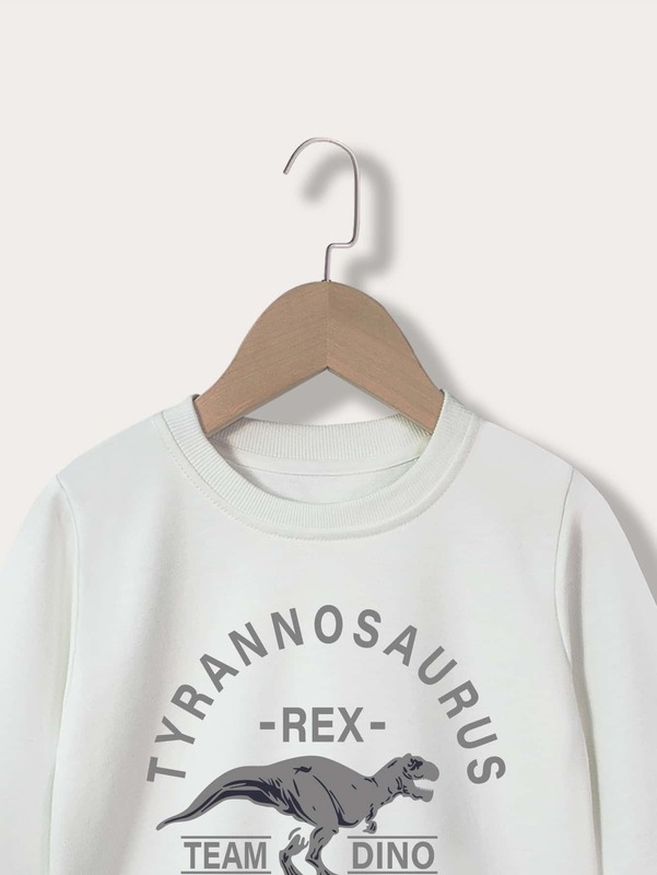 Toddler Boys Letter & Dinosaur Print Sweatshirt SHE