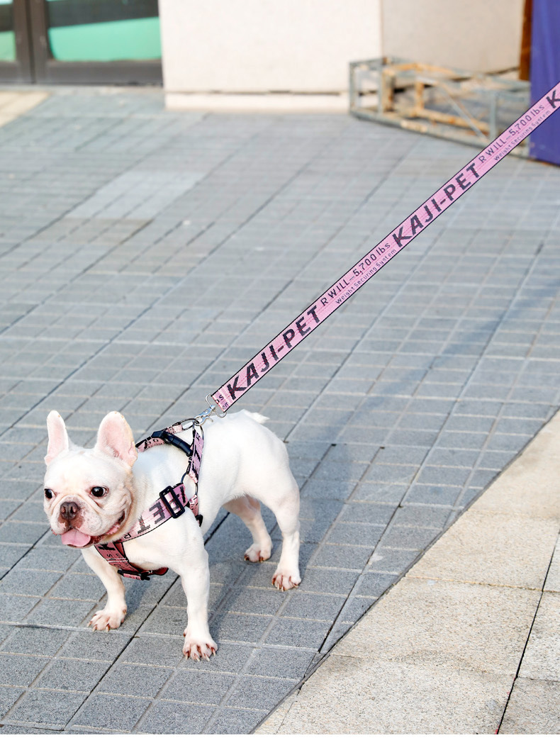 Step in Dog Harness and Leashes Set for Small Medium Large Dogs Jacquard Letter Pattern Nylon Pet Collar Training Walking of Your Puppy 5 Color Wholes