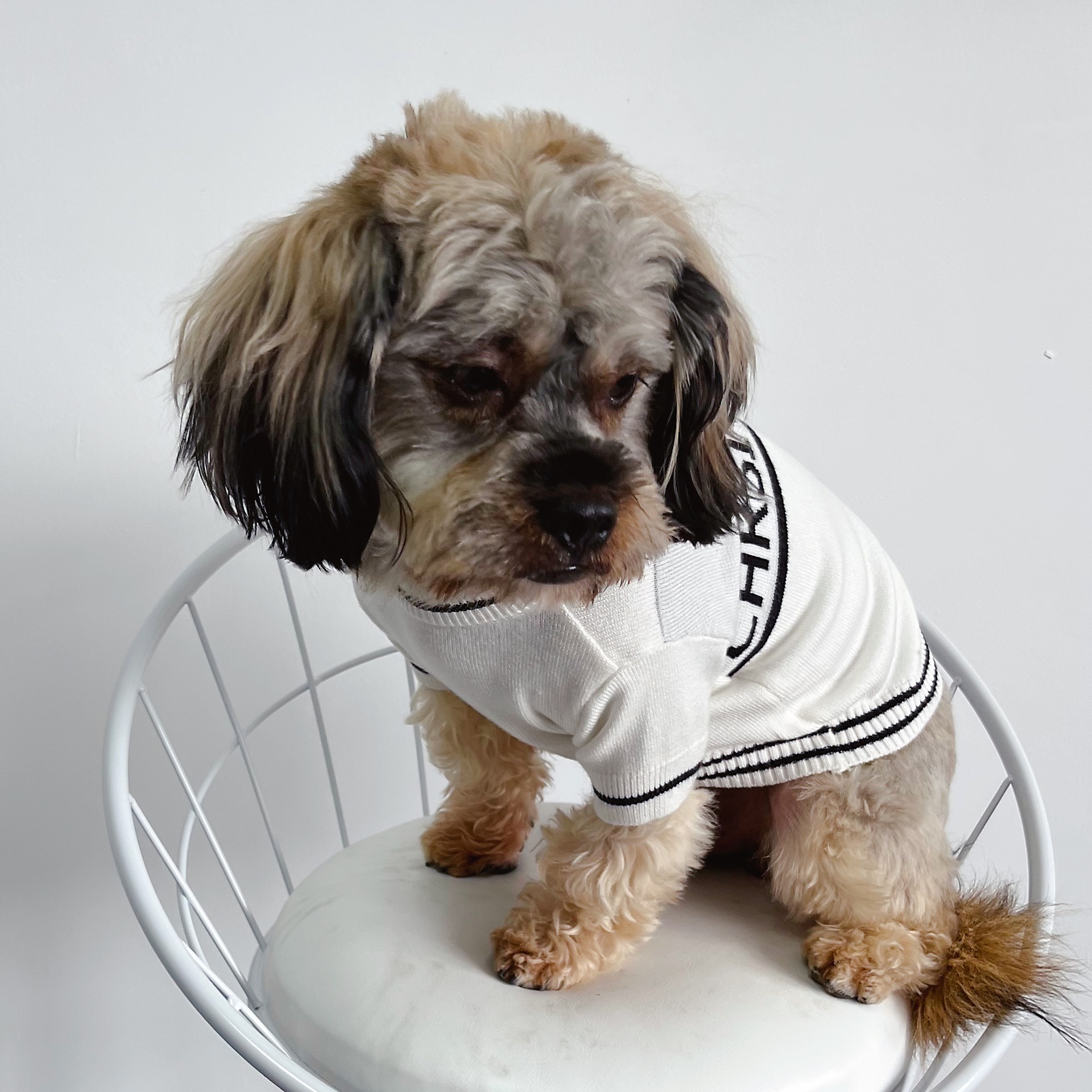 Warm Pet Sweater Designer Dog Clothes Brand Dog Apparel Classic Letter Monogram Cat Sweaters Puppy Sweatshirt Coat for Small Dogs Kitten Cats White S A348
Warm Pet Sweater Designer Dog Clothes Brand Dog Apparel Classic Letter Monogram Cat Sweaters Puppy Sweatshirt Coat for Small Dogs Kitten Cats White S A348