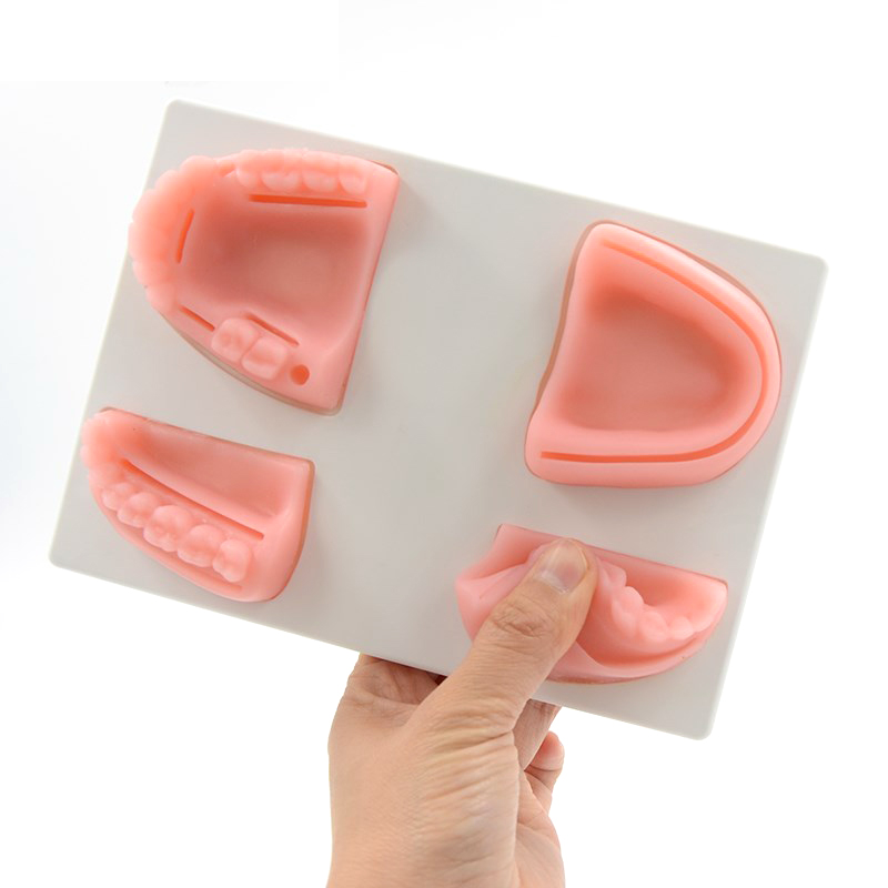 Silicone Artificial Human skin Oral Teeth Gum Suture Training Kit Common Types Of Dental Wounds Dentist Practice And Training
Silicone Artificial Human skin Oral Teeth Gum Suture Training Kit Common Types Of Dental Wounds Dentist Practice And Training