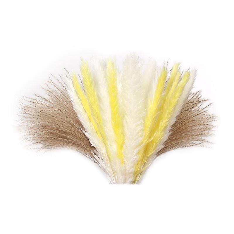 Decorative Flowers & Wreaths 60Pcs Natural Dried Pampas Grass Decorations - For Floral Arrangements, Home Decor, Boho Weddings, Parties, As shown
Decorative Flowers & Wreaths 60Pcs Natural Dried Pampas Grass Decorations - For Floral Arrangements, Home Decor, Boho Weddings, Parties, As shown