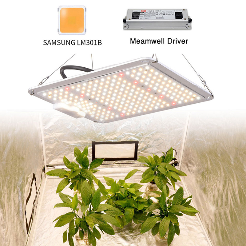 Grow Lights Dimmable Square Board Led Full Spectrum 1000W 2000W 4000W Waterproof IP65 For Tent Greenhouse Hydroponic Systems
Grow Lights Dimmable Square Board Led Full Spectrum 1000W 2000W 4000W Waterproof IP65 For Tent Greenhouse Hydroponic Systems